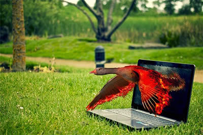 5������Photoshop�����ٶ�