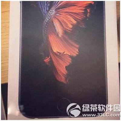 iPhone6S Retina Flash��ʲô��