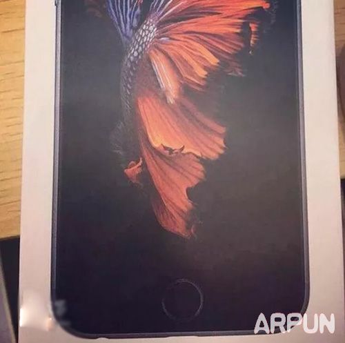 iPhone6S���ʲô��?