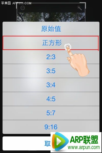 iPhone��ν���Ƭ��������������ʾ