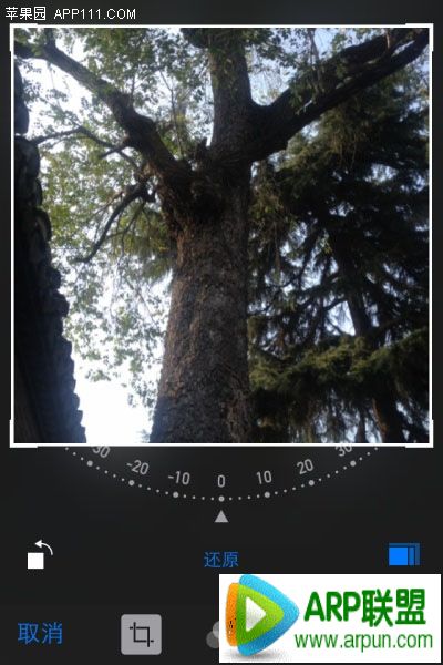 iPhone��ν���Ƭ��������������ʾ