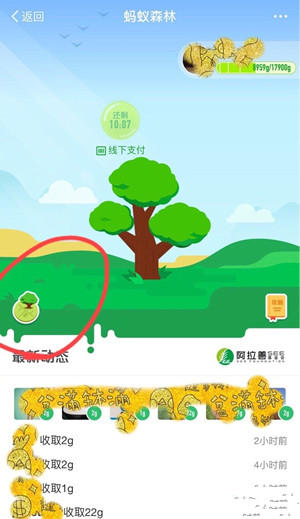����ɭ��ģ���ͼ���ʹ�� ����ģ���ͼ���㶨λ����