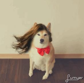 lumyer��ô��������̬ lumyer����΢������Ȧ��������
