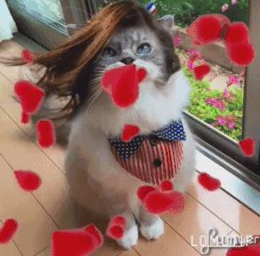 lumyer���ʹ��