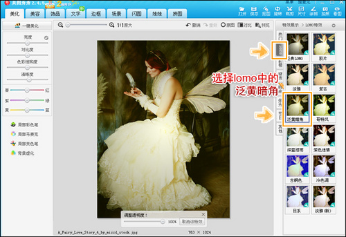 ѡ��lomo