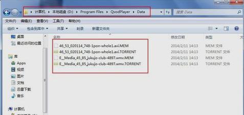 qsed文件 qsed文件