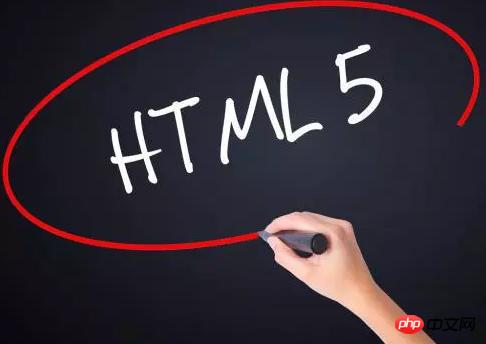 ǰ�˺�ѧ�������html�����ѧ�᣿