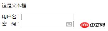 input����������������ı������һƪ���½���ѧ������input��ǩ
