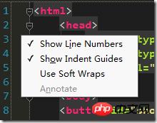 WebStorm����Զ����û�����